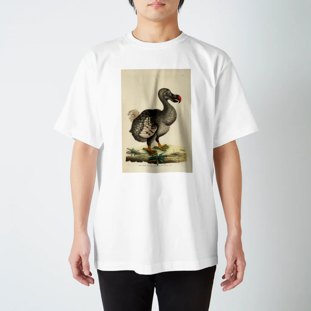 J. Jeffery Print Galleryの絶滅したドードー鳥 スタンダードTシャツ