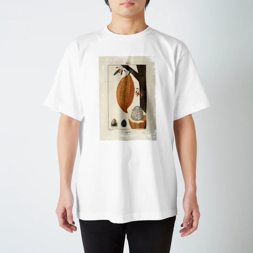 J. Jeffery Print Galleryのカカオ豆 Regular Fit T-Shirt