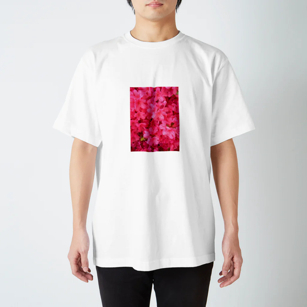 SAITO HIRONOBUの花壇の花 スタンダードTシャツ