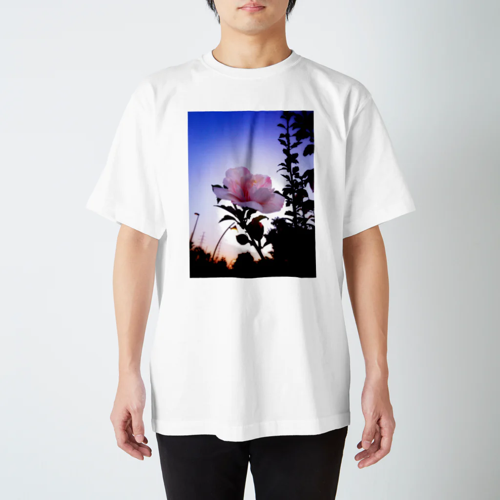 SAITO HIRONOBUの春の花２ スタンダードTシャツ
