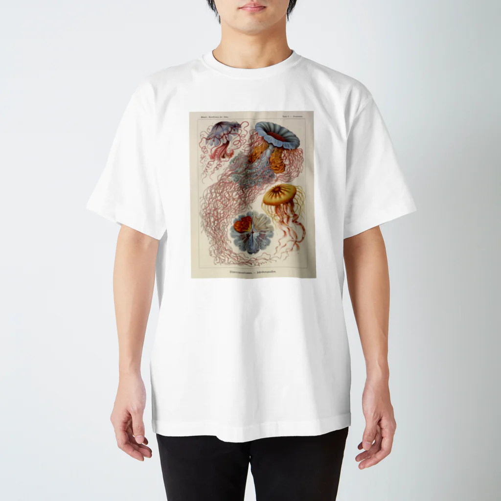 J. Jeffery Print Galleryのクラゲ スタンダードTシャツ