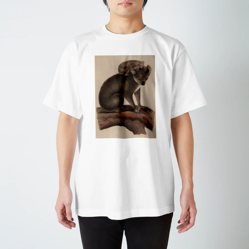 J. Jeffery Print Galleryのコアラの親子 Regular Fit T-Shirt