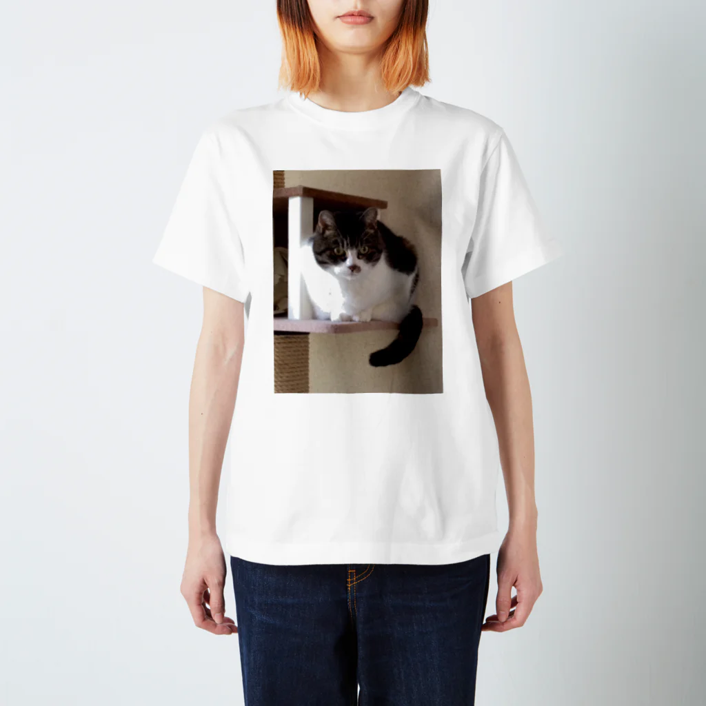 kotetsu59のねこタワーのうちの子 Regular Fit T-Shirt