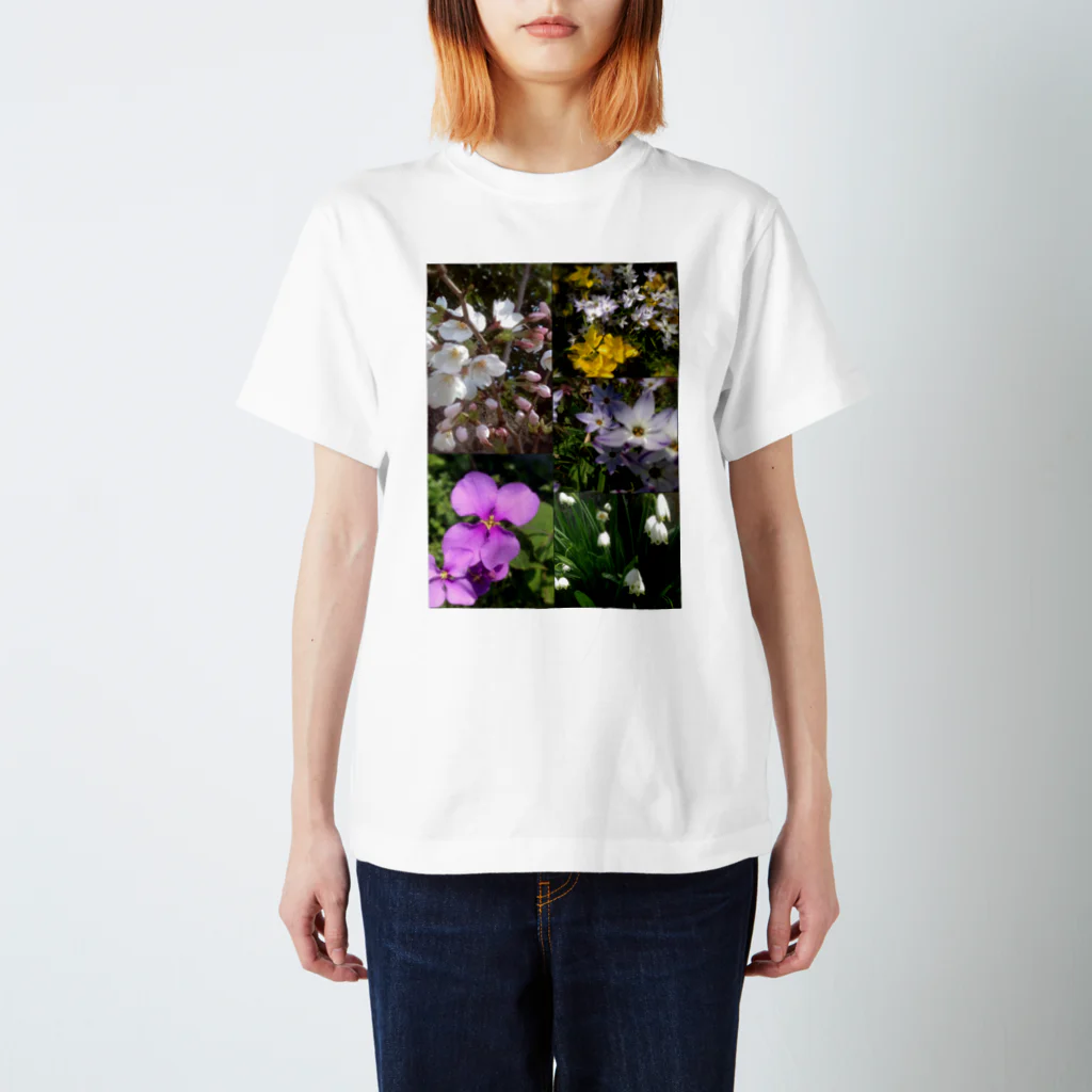 akoのspring スタンダードTシャツ