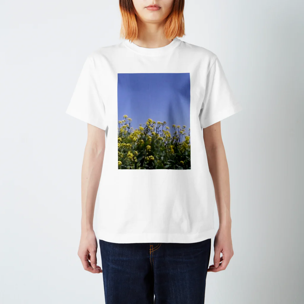 fox+foxの菜の花、良い天気 Regular Fit T-Shirt