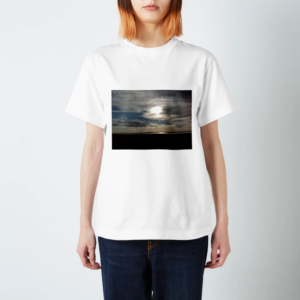 JP Link Australiaのreflection Regular Fit T-Shirt