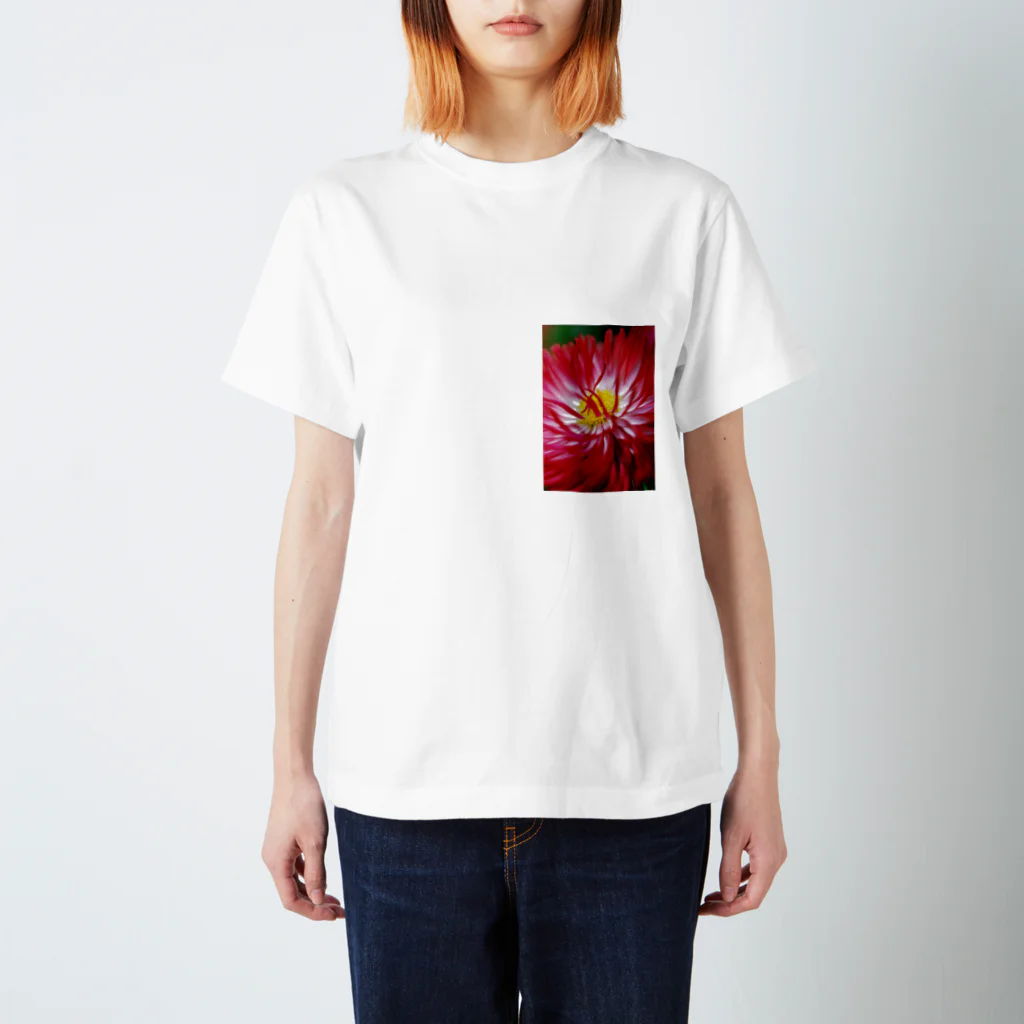 写真小僧の情熱 Regular Fit T-Shirt