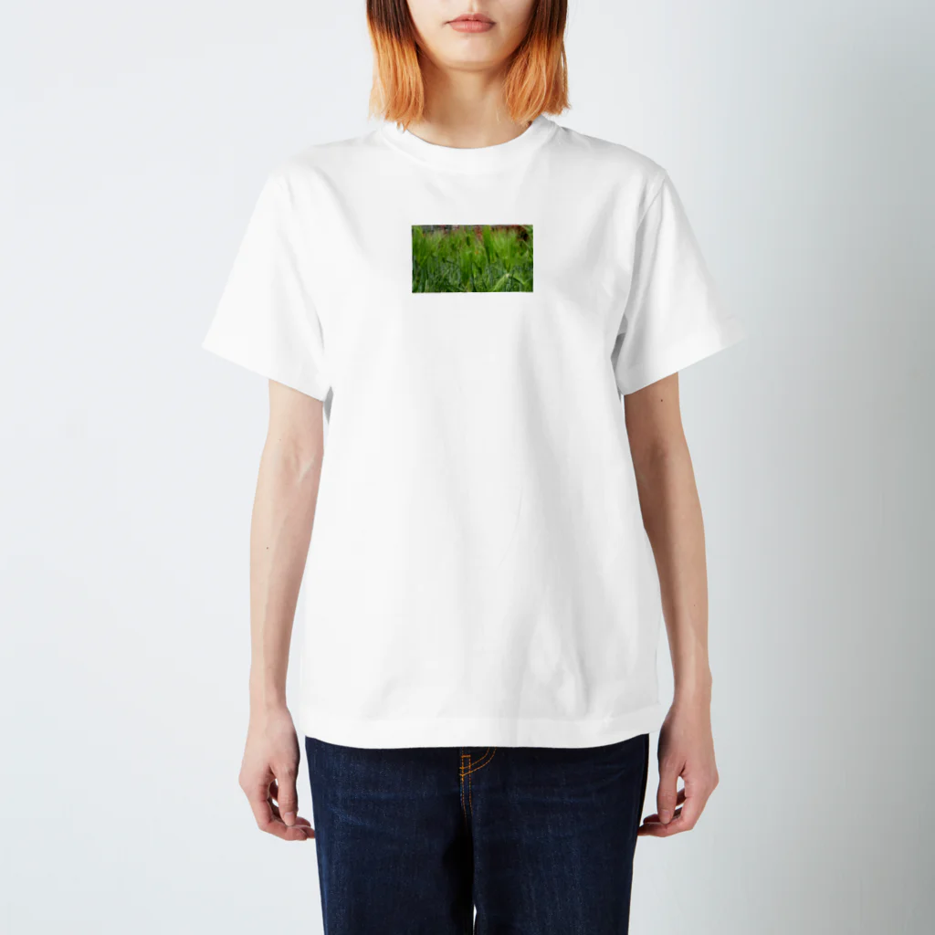 Ujackの麦 スタンダードTシャツ