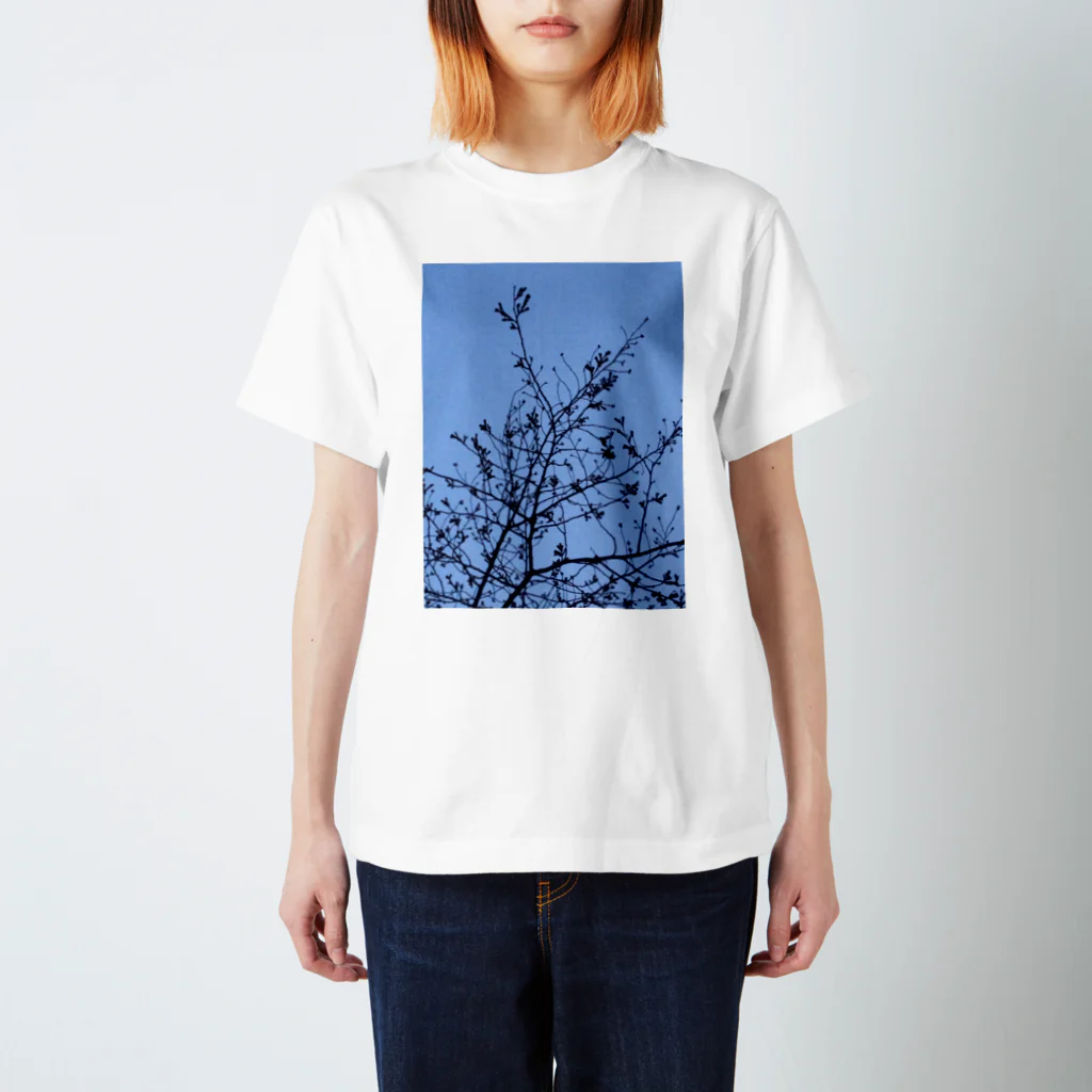 gizajyu10のsakura mae Regular Fit T-Shirt