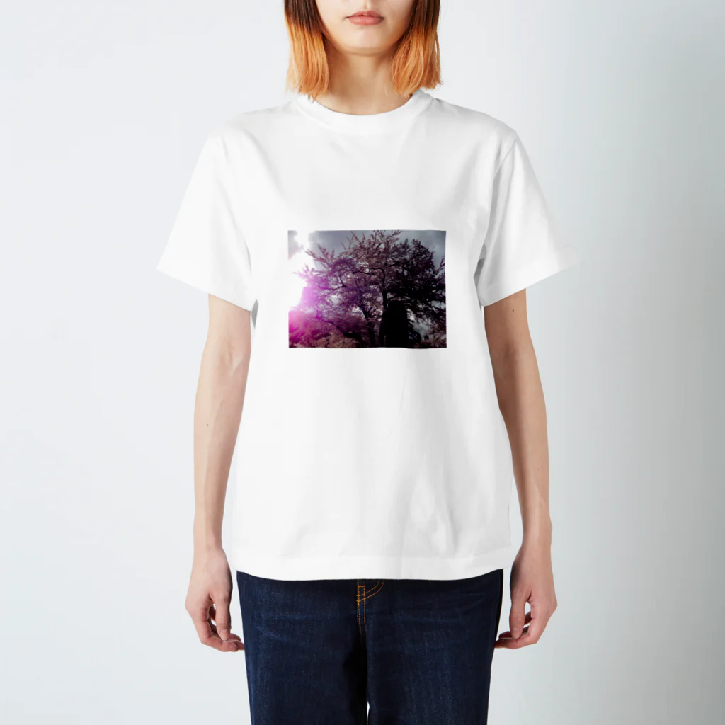 風まかせの満開の桜 スタンダードTシャツ