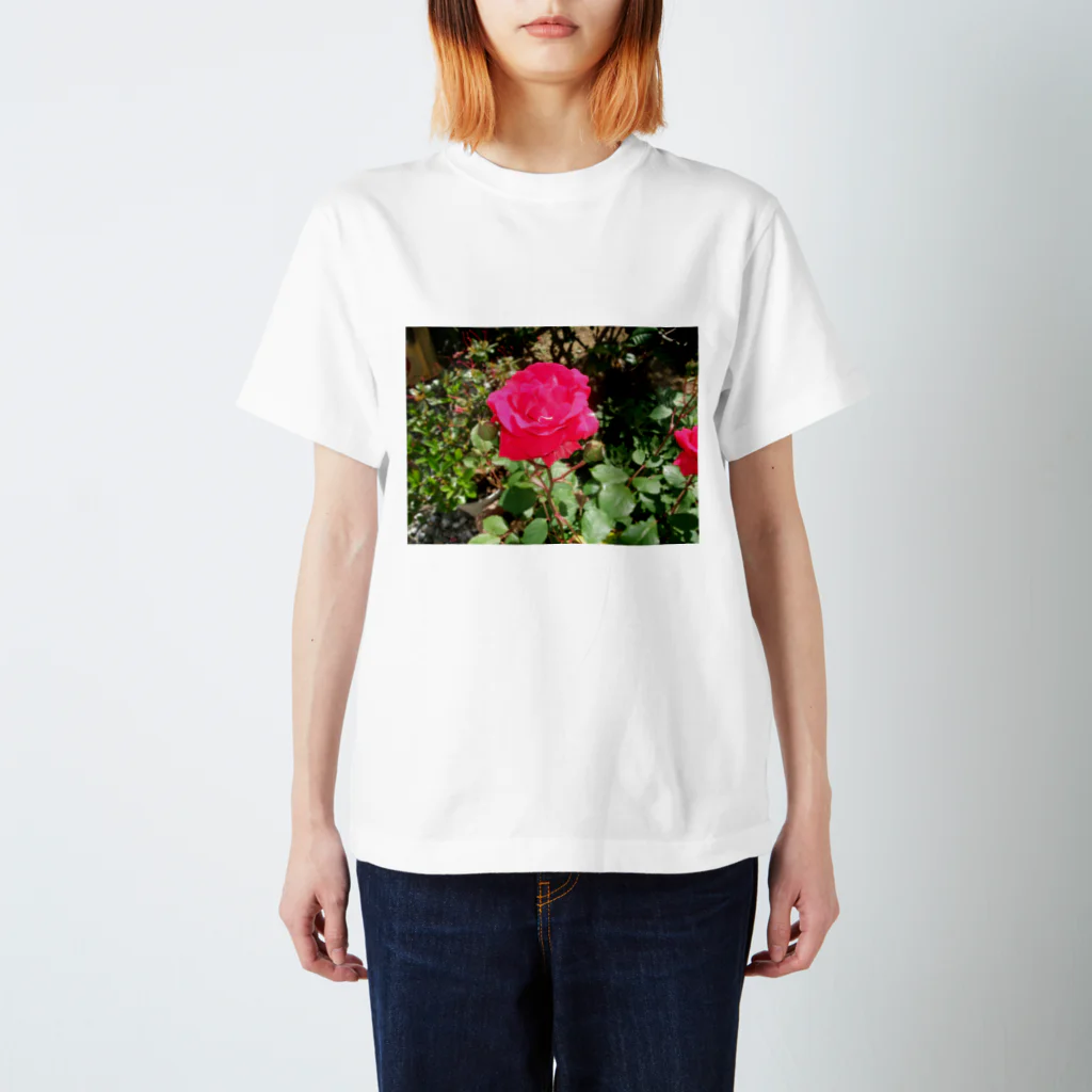 田中民生の薔薇 スタンダードTシャツ