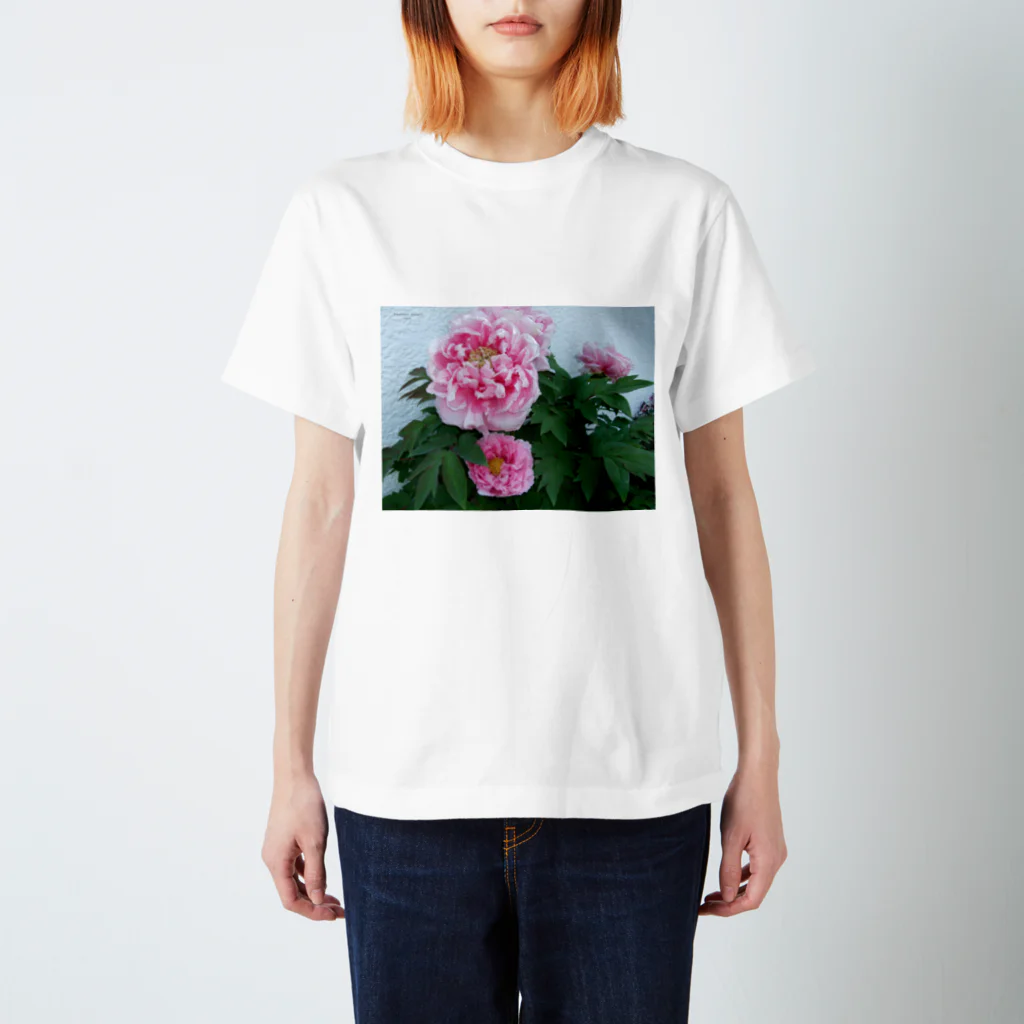 田中民生のBeautiful peony スタンダードTシャツ