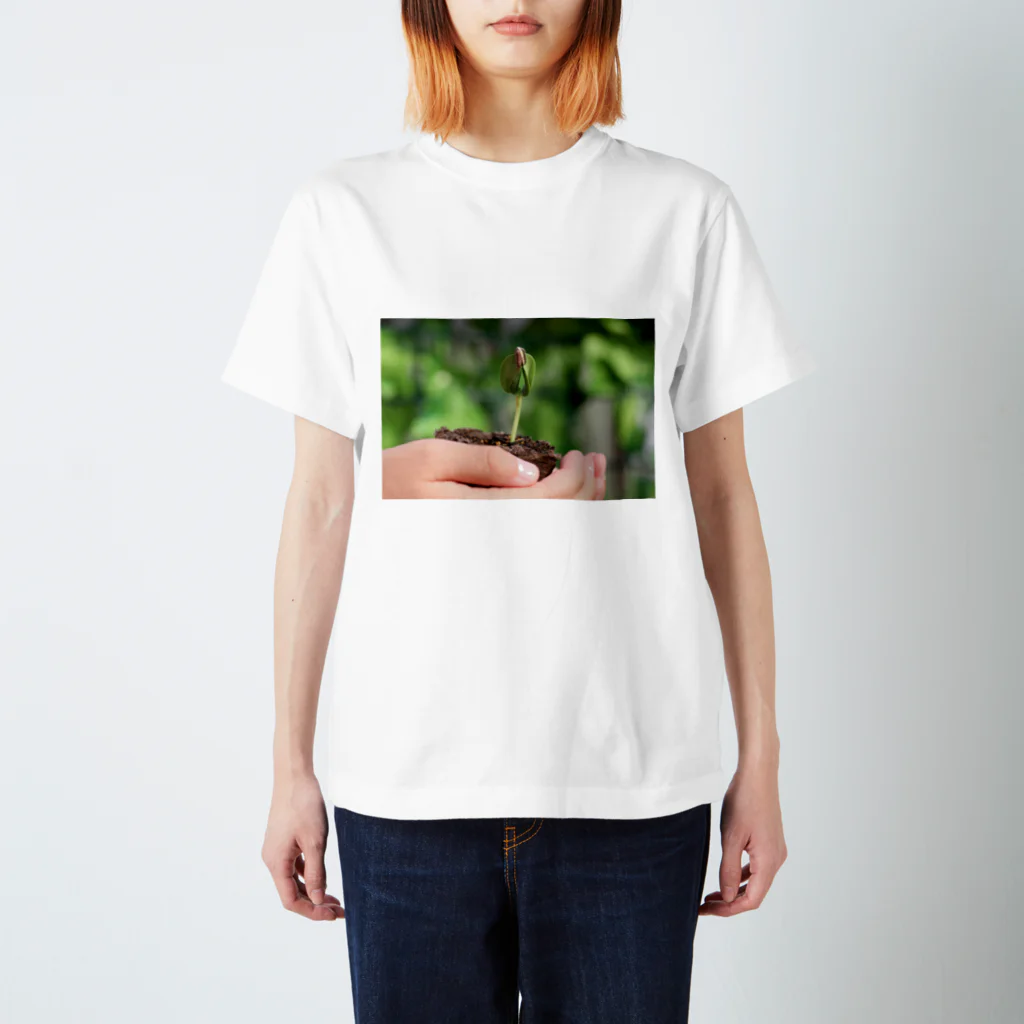 higekenのひまわりの芽 スタンダードTシャツ