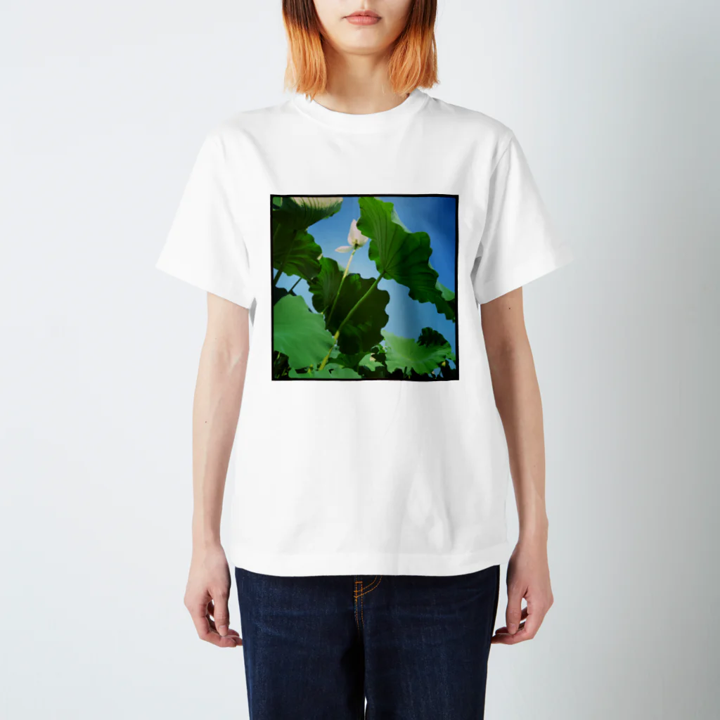 unokimiのハスの花 Regular Fit T-Shirt