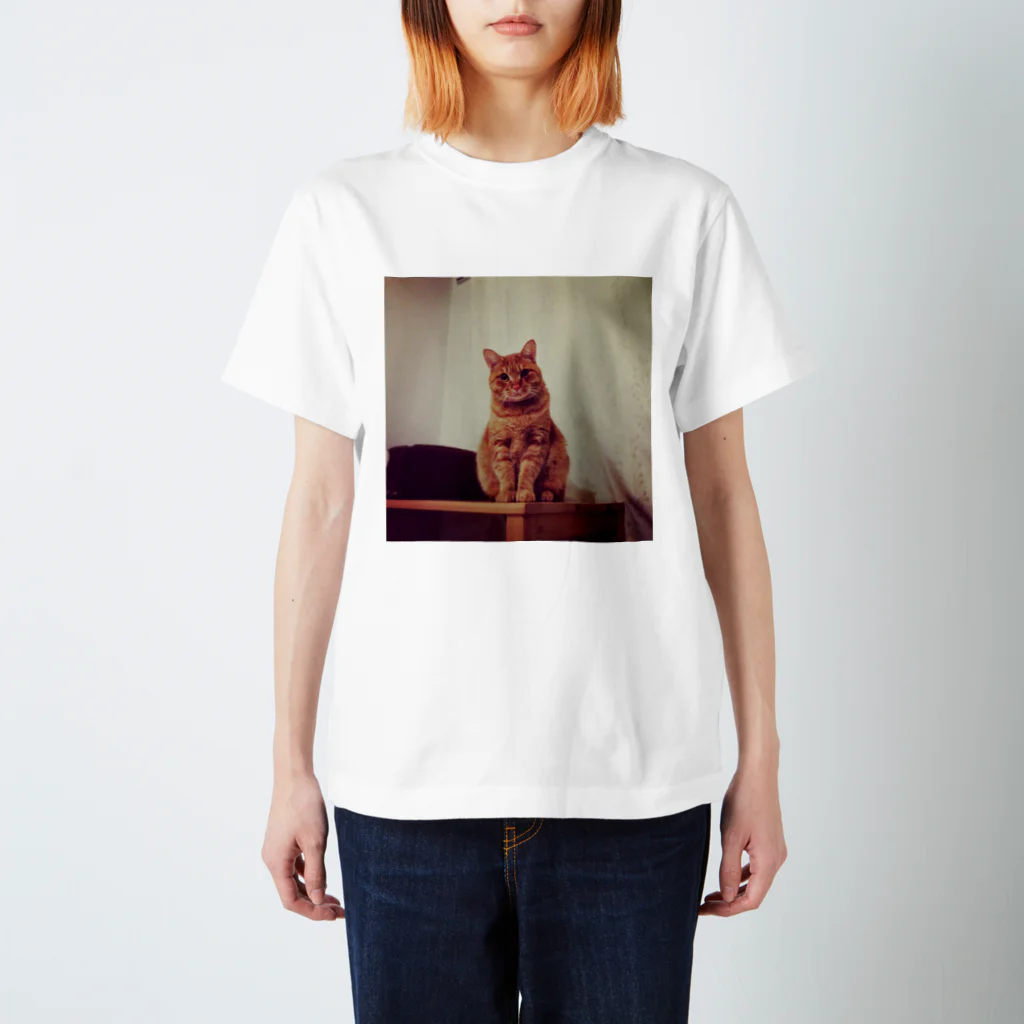 kojikaのかわいい猫です スタンダードTシャツ