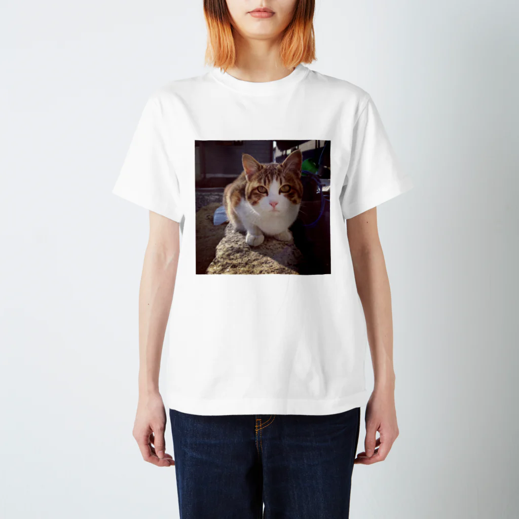 猫専門店のにゃー スタンダードTシャツ