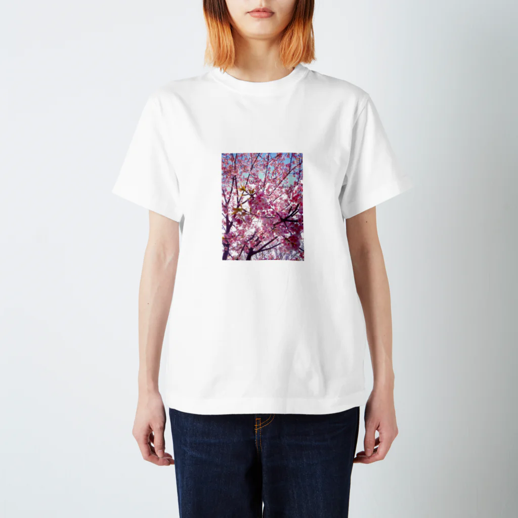 SAITO HIRONOBUの太陽光で輝く桜 スタンダードTシャツ