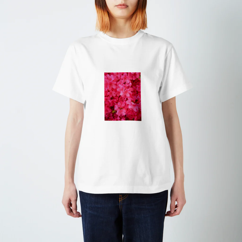 SAITO HIRONOBUの花壇の花 スタンダードTシャツ