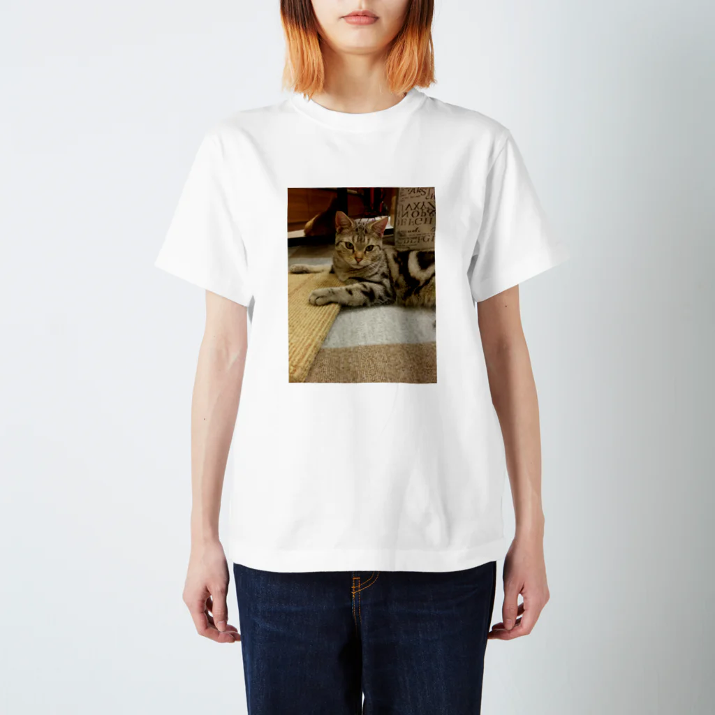 decobisuのかわいい猫 Regular Fit T-Shirt