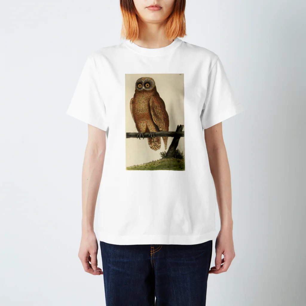 J. Jeffery Print Galleryのフクロウ スタンダードTシャツ