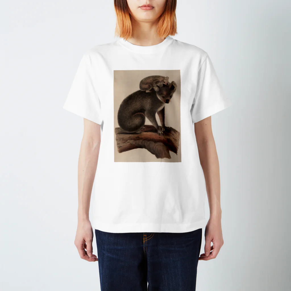 J. Jeffery Print Galleryのコアラの親子 Regular Fit T-Shirt