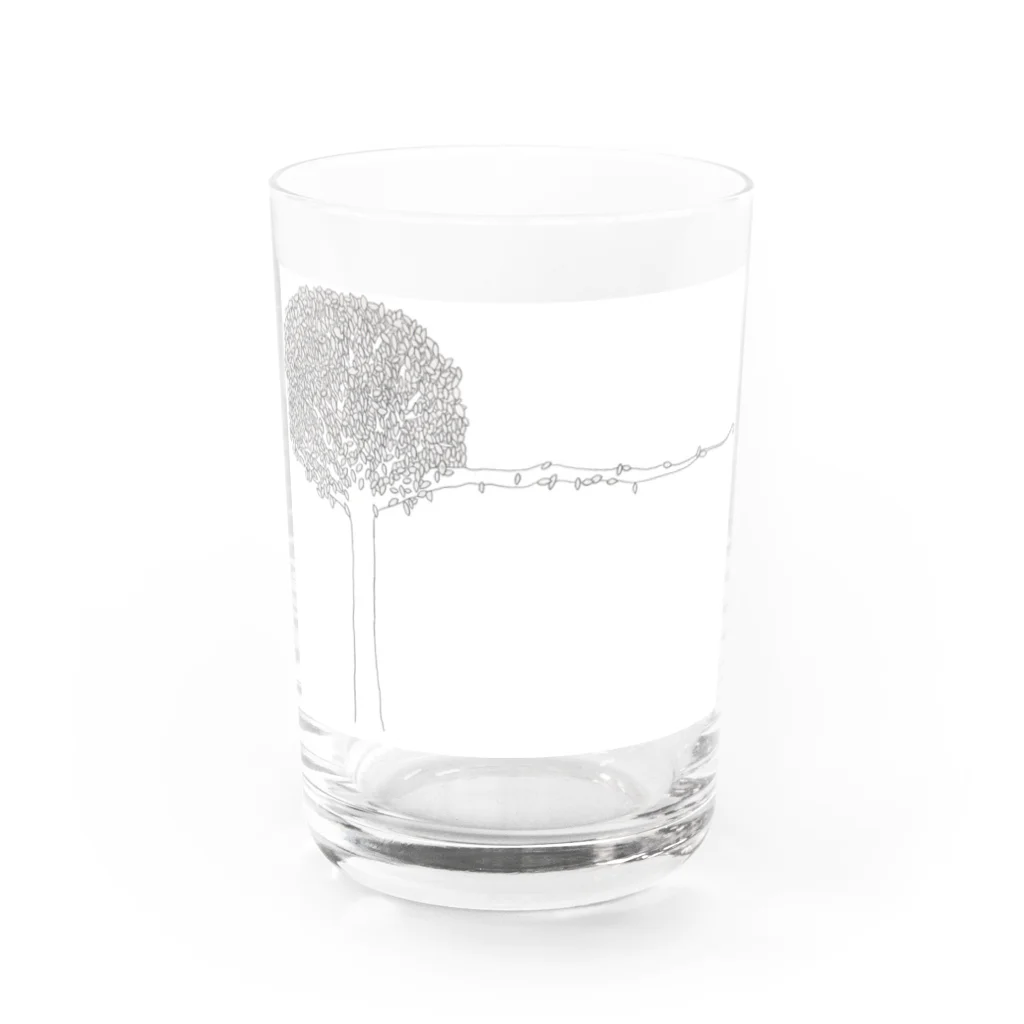 chamuの木陰 Water Glass :front