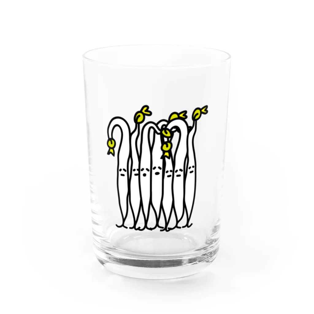 マジシャンもやしくんのショップのもやしくんいっぱい Water Glass :front