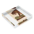 J. Jeffery Print Galleryの『博物学の普遍的システム』 Acrylic Block :placed flat