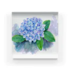 リラの紫陽花 Acrylic Block