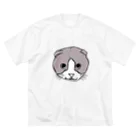 MEGULAさん宅のガブ Big T-Shirt