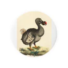 J. Jeffery Print Galleryの絶滅したドードー鳥 Tin Badge