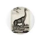 J. Jeffery Print Galleryのディドロ自然史 Tin Badge