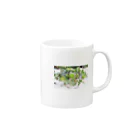 potaの多肉植物盛り合わせ Mug :right side of the handle