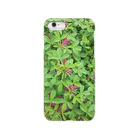 kurakoのgreen plant Smartphone Case