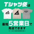 (\( ⁰⊖⁰)/) esaのesa（白抜き） Regular Fit T-Shirt