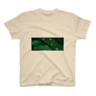 その物語を忘れない。のGRASSES AFTER RAIN, SOMEWHERE NORTH OF GARLAND Regular Fit T-Shirt