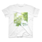 MASIA-AIRLINEのJuly. スタンダードTシャツ