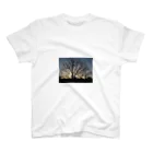 JP Link Australiaのsunrise sunset スタンダードTシャツ