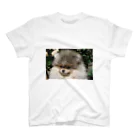 AndypukuのPretty pomeranian Moco Regular Fit T-Shirt