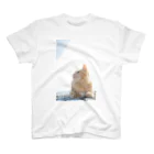 猫写真家　森永健一 にゃんこ屋 SUZURIストアのみつめる スタンダードTシャツ