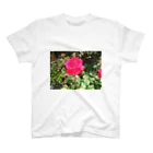 田中民生の薔薇 スタンダードTシャツ