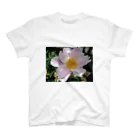 田中民生の芍薬 スタンダードTシャツ