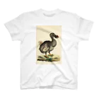 J. Jeffery Print Galleryの絶滅したドードー鳥 Regular Fit T-Shirt