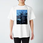 量のサクラ Regular Fit T-Shirt