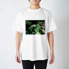 まつげのつぶらな瞳 Regular Fit T-Shirt