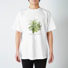 かんざき かりんのナチュラルシリーズ「ハーブ」 Regular Fit T-Shirt