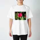 田中民生の薔薇 スタンダードTシャツ