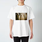 ISSEYのMask_ver.1 スタンダードTシャツ