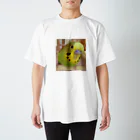 ぴすたちおのセキセイインコ Regular Fit T-Shirt