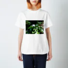 まつげのつぶらな瞳 Regular Fit T-Shirt